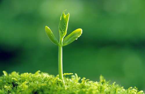 一揽子红利酝酿在途 PPP顶层设计步入快车道