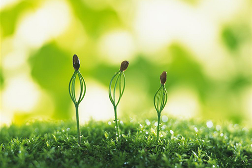 环保“防火墙”酝酿巨变 排污许可制或替代环评