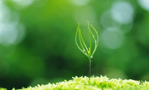 3000亿市场渐行渐近 绿色金融助力“中国模式”