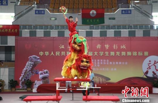 北狮自选套路比赛。　朱志庚 摄