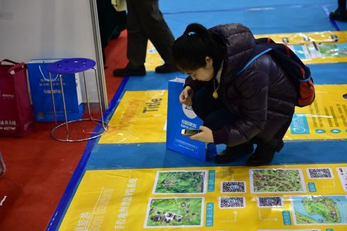 南京地图文化盛会:图览古今创意世界