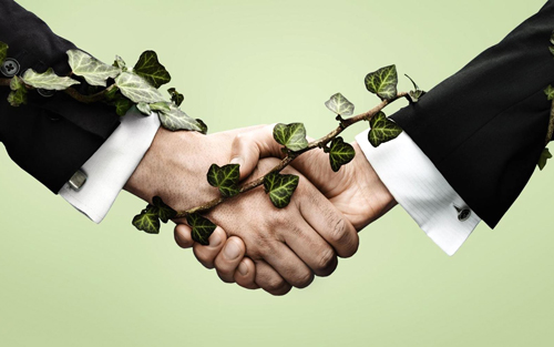 一季度发行530亿 我国绿色债券占全球半壁江山