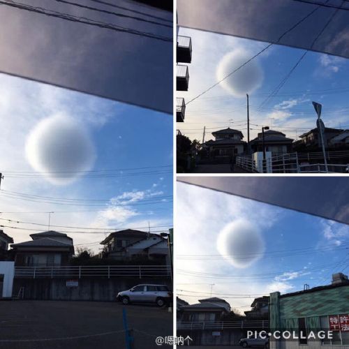 博海拾贝1211：老大选幕僚的标准