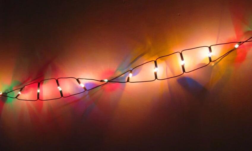 中国科学家完成世界首个体基因编辑试验 肺癌有望治愈