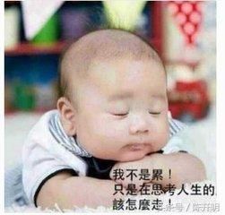 巧妙的一语双关幽默法