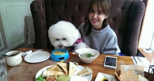 娱乐圈那些最萌身高差的情侣,最后一对无可复制!