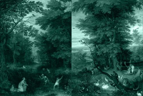 P by PANACHE 2017SS系列：神秘植物的天堂里，有青涩初吻的味道