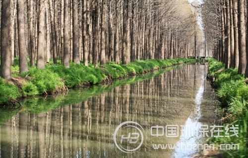 全力守护一盆净水 我国拟建国家级地下水监测网络