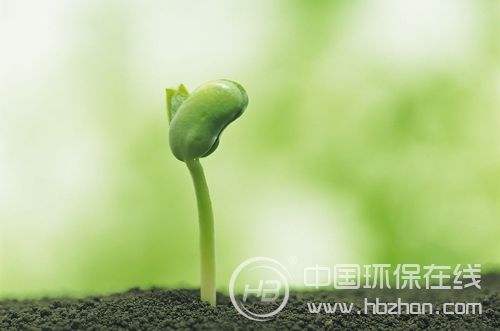 “隐形杀手”步步紧逼 救治土地沉疴还须技术为先