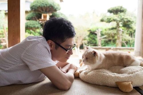 猫奴们的盛宴 《猫咪后院》明年4月正式上映