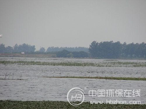 汛期水污染频发敲响警钟 亟需构建防污联防机制