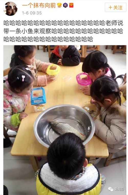 “老师说带一条小鱼来观察”炸出一堆段子手，谁的童年不辛酸？
