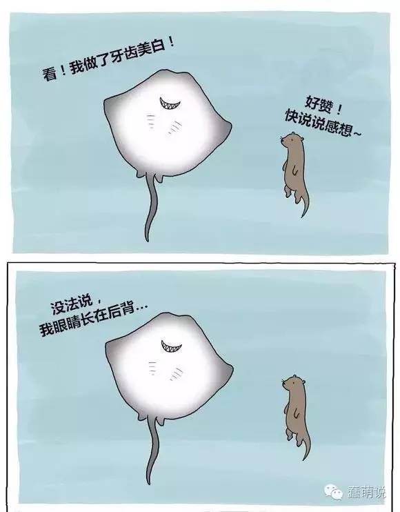 每日一蠢萌：今天的任务是使劲卖萌，就是要萌你一脸血！