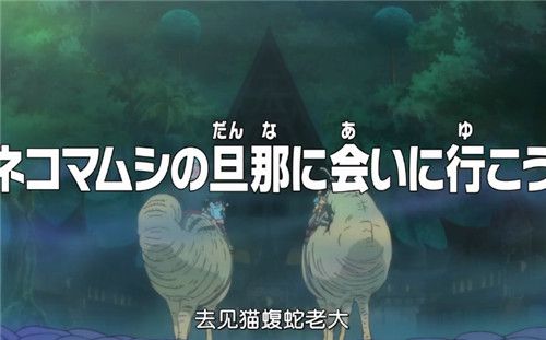 海贼王765集更新时间 海贼王765集预告看点