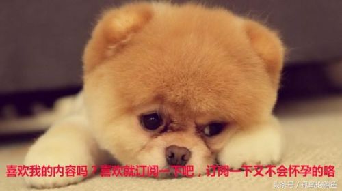 爱幽默：你不用力，背上的灰怎么能搓下来啊？