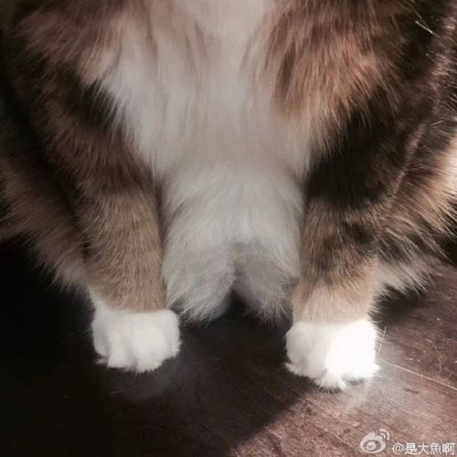  囧图161118:这个回答适合任意一部电影|40图