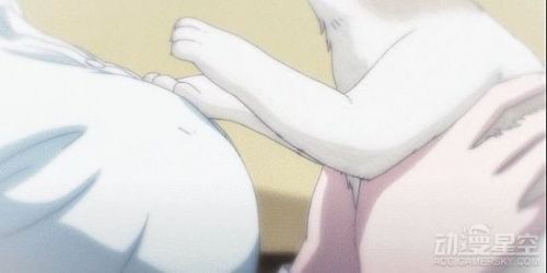 《星期一的丰满》白领妹发酒疯 网友感叹人不如猫