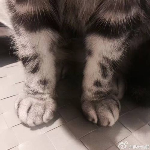  囧图161118:这个回答适合任意一部电影|40图