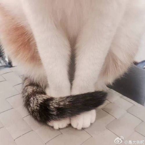  囧图161118:这个回答适合任意一部电影|40图