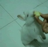 你打一炮试试，我能受得了