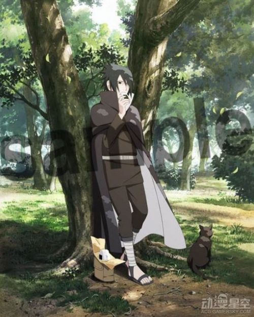 《火影忍者》动画进入新系列 佐助真传即将开播