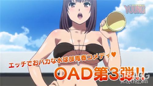 巨乳娘×屌丝男！「青春水球社」限定版将捆绑动画DVD11月发售！