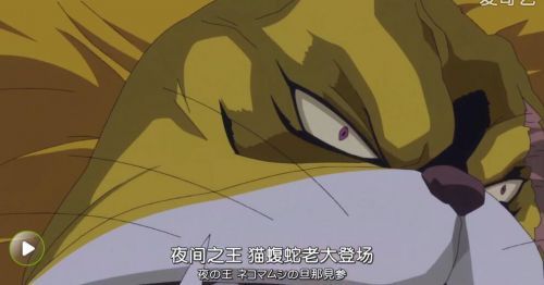 海贼王759集猫蝮蛇老大登场