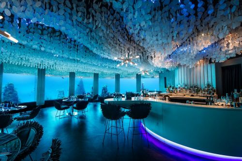 和鱼共餐!印度洋海底夜店变身高档餐厅