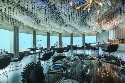 和鱼共餐!印度洋海底夜店变身高档餐厅