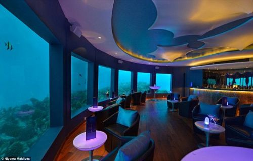和鱼共餐!印度洋海底夜店变身高档餐厅