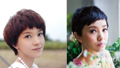窦靖童郭采洁都爱的又酷又萌狗啃刘海原来大有来头