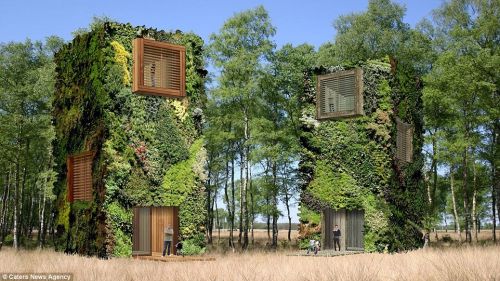人与自然:荷兰建筑设计师林中建生态城市