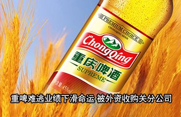 首页幻灯3.jpg