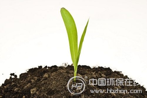 土壤治理需“刮骨疗伤” 修复制度有待建立健全