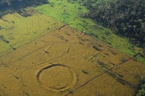 巴西雨林现巨型图 网友-是远古原住民还是外星人的杰作？