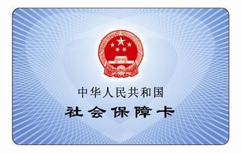 今起可查2015年度社保缴费情况