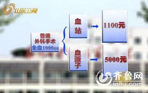 全国多地现“血荒” 血贩子要价翻数倍年入百万