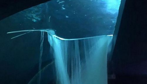 水箱破裂鲨鱼上街 玻璃上有一处80厘米长裂口13条鲨鱼涌出