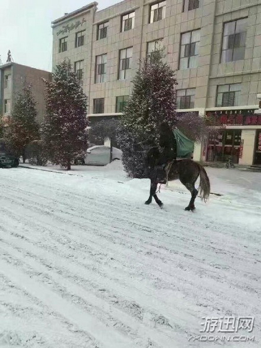 雪天骑马送快递 网友：厉害了我的哥！真想送你张敬业福