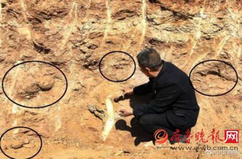 修路挖恐龙蛋化石 村民：石疙瘩是椭圆形外边是鱼鳞状，感觉像巨型鸟蛋