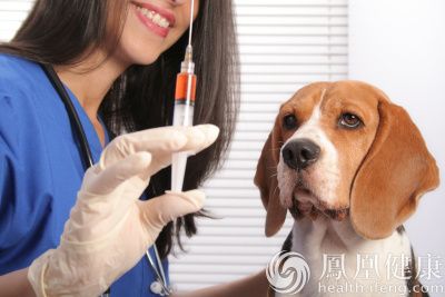 北京市新增一狂犬病疫苗注射门诊