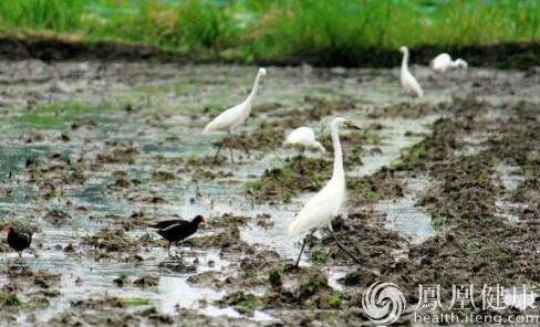 人们为什么要过“生物多样性日”呢