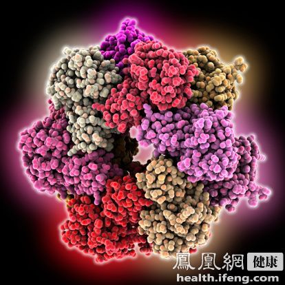 科学家找到癌症致命弱点