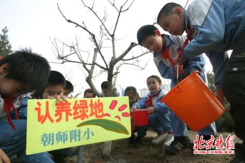 北京今年将义务植树100万株 公民年满11岁应履行植树义务