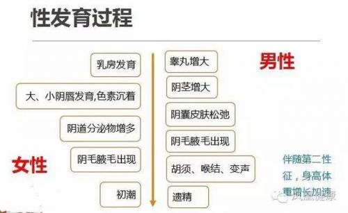 乳房变大就是性早熟？首儿所专家教家长两招辨别