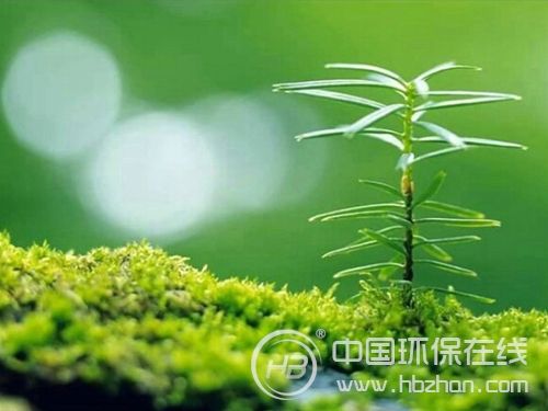 净化器质量良莠不齐 部分商家意在“捞一票就走”