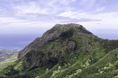 盘点：欧胡岛不为人知的10条冷知识