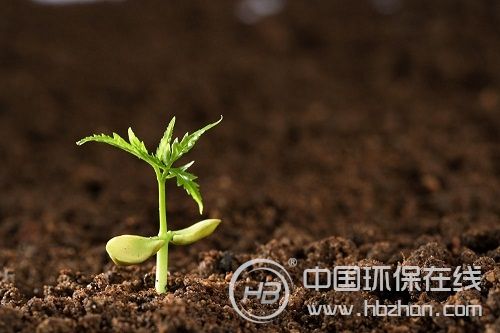土壤污染危及18亿亩耕地红线 恶化趋势亟待遏制