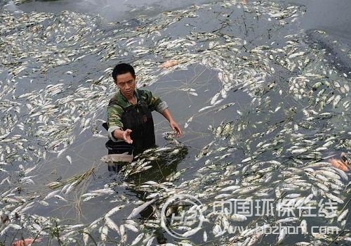 水环境形势严峻 水污染防治须走可持续发展道路