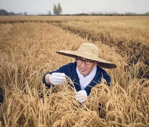 他曾红过黄晓明，刘涛为他痴狂，被封杀后淡出娱乐圈，现为亿万富豪